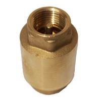 Brass Disc Spring Check Valve