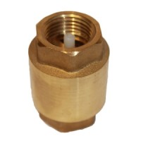 Nylon Disc Spring Check Valve