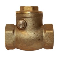 Swing Check Valve